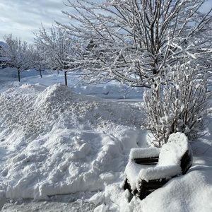 Meet your Posher, Katerine